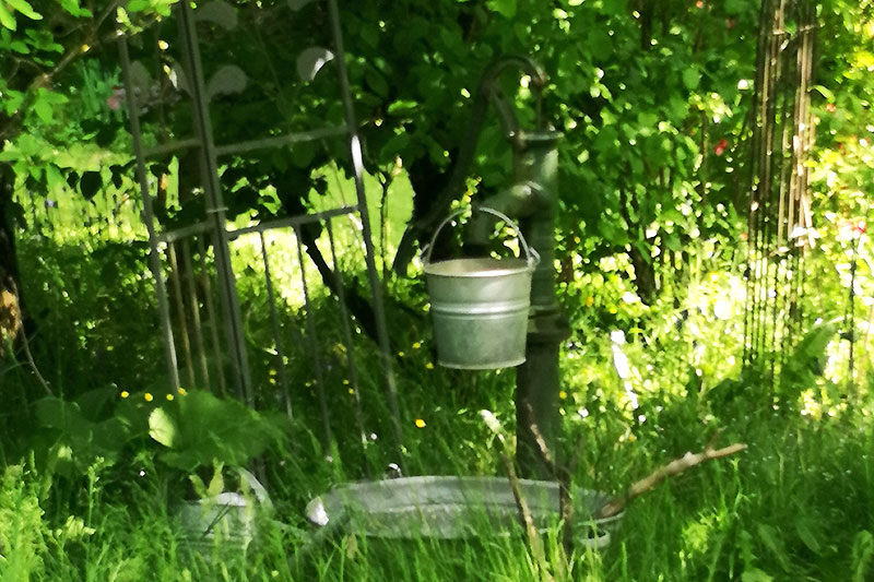Gartenimpressionen